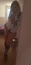 Madelina